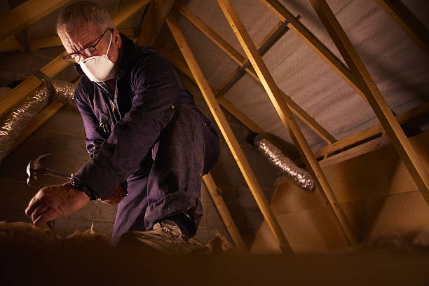 Best Insulation for New Construction  in Haltom City, TX